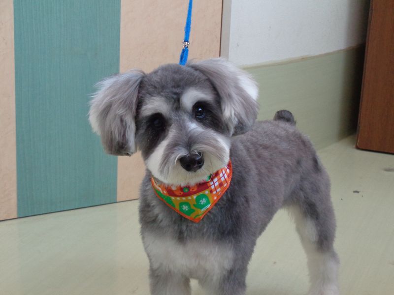 ソラちゃん ソラちゃん